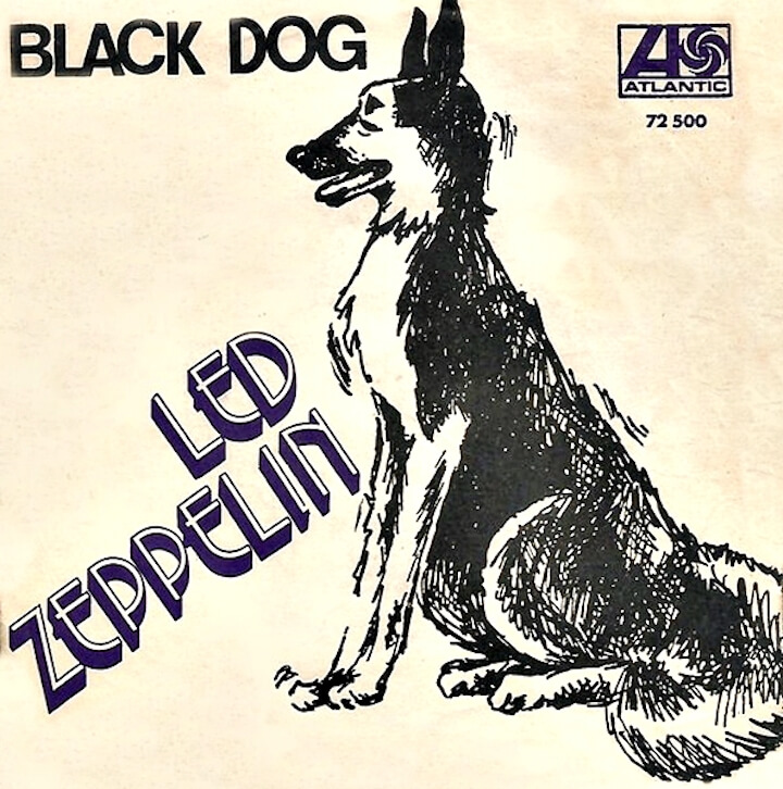 Led Zeppelin Black Dog