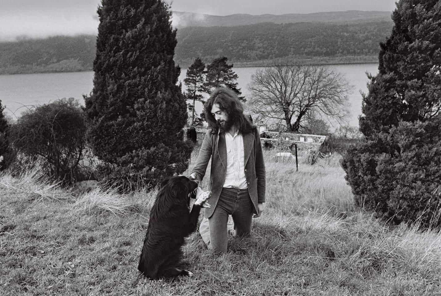 Led Zeppelin Black Dog Jimmy Page